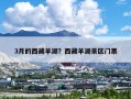 3月的西藏羊湖？西藏羊湖景区门票