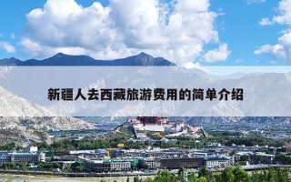 新疆人去西藏旅游费用的简单介绍