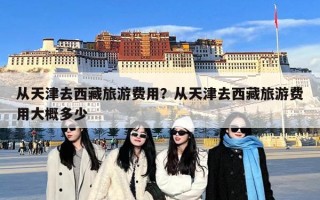 从天津去西藏旅游费用？从天津去西藏旅游费用大概多少