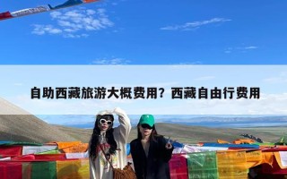 自助西藏旅游大概费用？西藏自由行费用