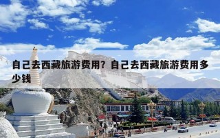 自己去西藏旅游费用？自己去西藏旅游费用多少钱