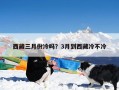 西藏三月份冷吗？3月到西藏冷不冷